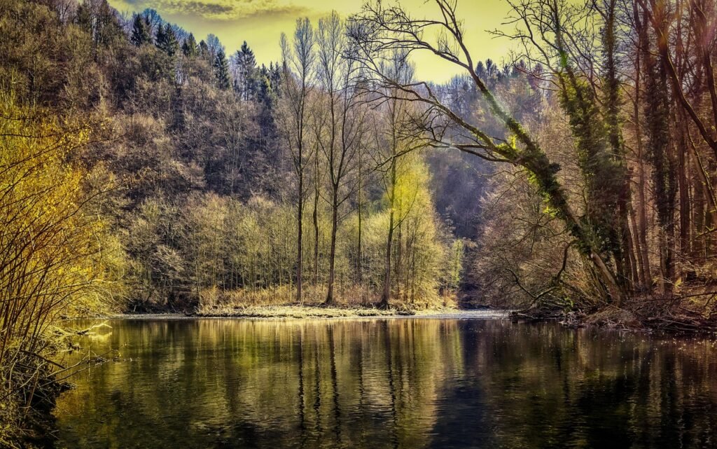 Beliktal pond with many long trees