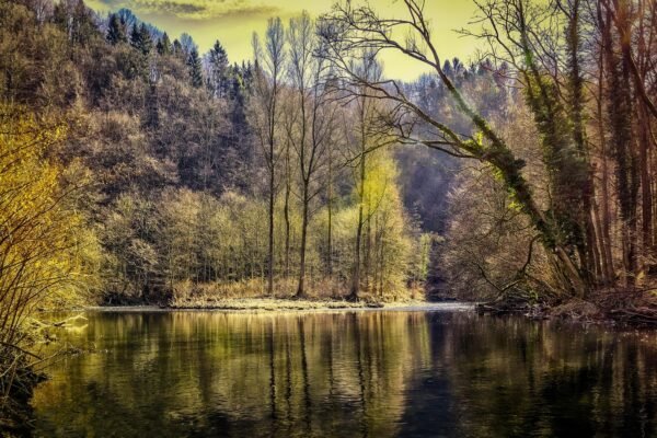 Beliktal: Where Nature, Stories, and Inner Renewal Meet