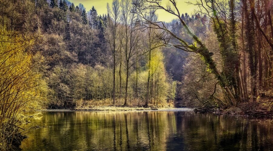 Beliktal pond with many long trees