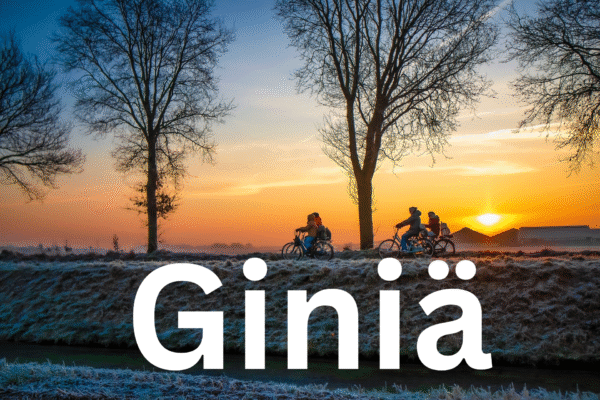Giniä: A Holistic Path to Equity, Innovation & Wellbeing